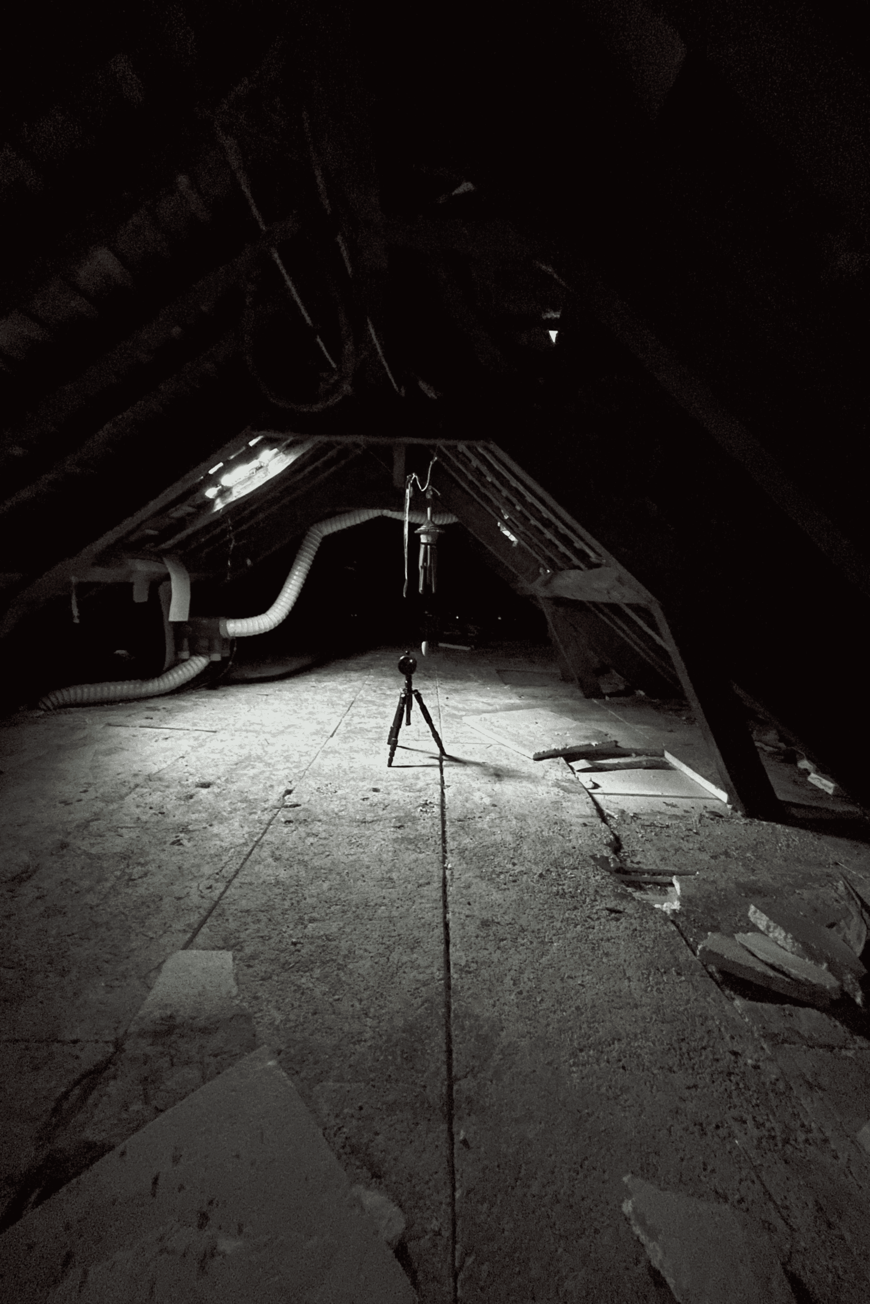 Combles d’anciennes écuries avec poulie de stockage du foin, état avant rénovation